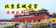 拍鸡嘎巴黄片录像中国北京-东城古宫旅游风景区
